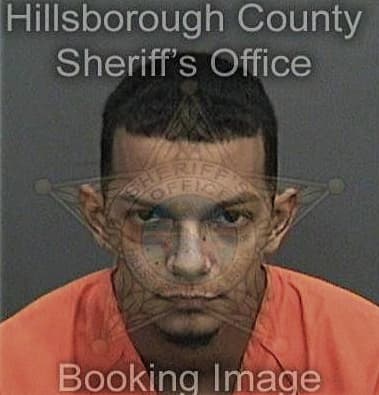 Devin Webster, - Hillsborough County, FL 