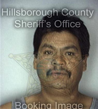 Brett Bischof - Hillsborough County, FL 