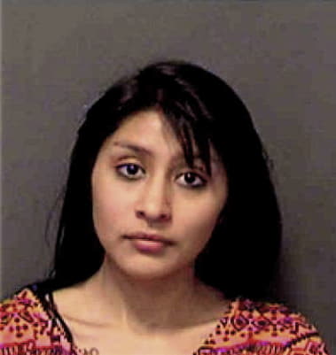 Yesenia Estrada, - Mecklenburg County, NC 