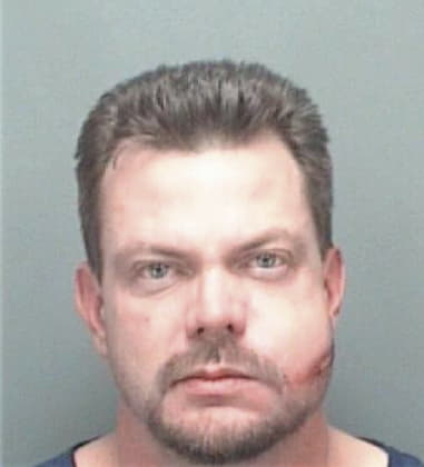 Justin Hansen, - Pinellas County, FL 