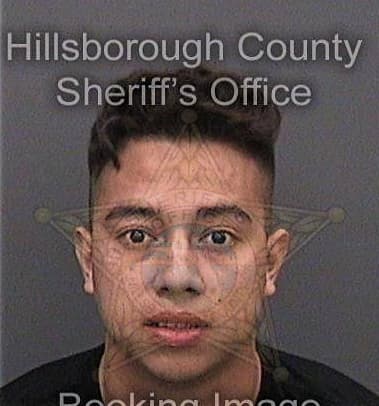 Tristan Michaelides - Hillsborough County, FL 