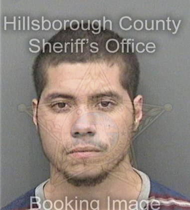 Jose Mirandasalazar - Hillsborough County, FL 