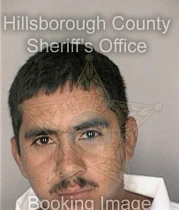 Patrick Brinke - Hillsborough County, FL 