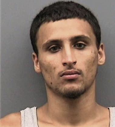 Lazaro Martinez, - Hillsborough County, FL 