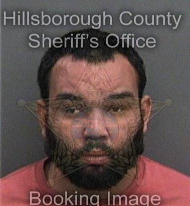 Brandyn Nelson, - Hillsborough County, FL 