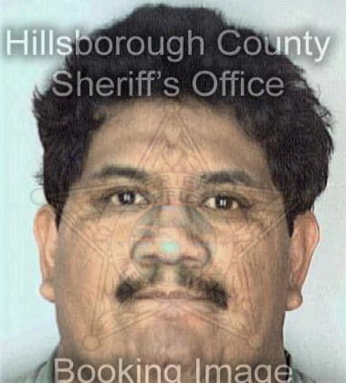 Michael Ramirez, - Hillsborough County, FL 