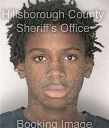 Bennie Williams - Hillsborough County, FL 