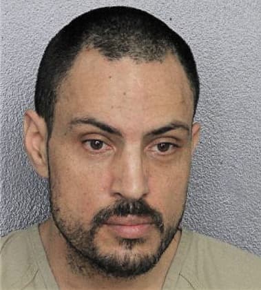 Maximiiliano Benvaides-Alcaide, - Broward County, FL 