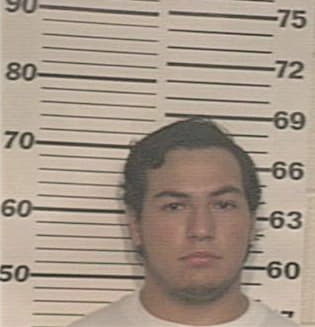 Alvaro Flores, - Hidalgo County, TX 