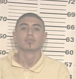 David Hernandez, - Hidalgo County, TX 