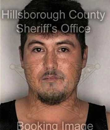 Roman Mayas - Hillsborough County, FL 