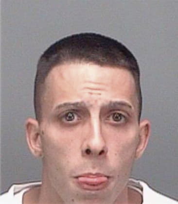Nicholas McCarty - Pinellas County, FL 