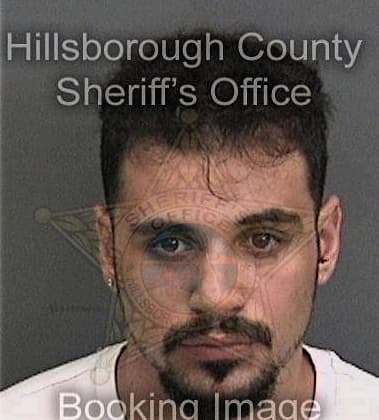 Michaeel Palladino, - Hillsborough County, FL 