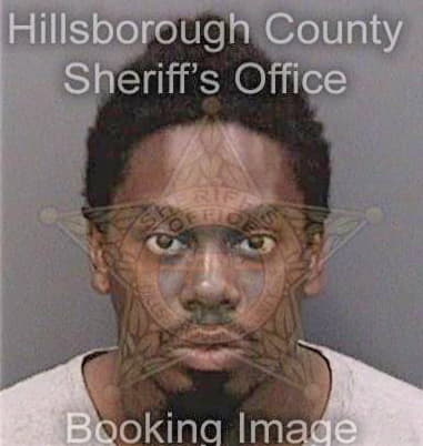 Tyrone Williams, - Hillsborough County, FL 