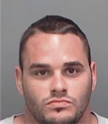 Abelardo Berragarcia, - Pinellas County, FL 