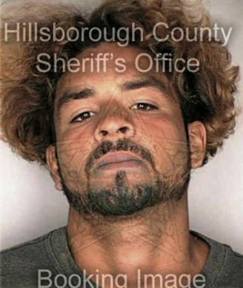 James Childress - Hillsborough County, FL 