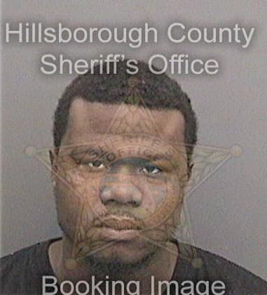 Michael Davis, - Hillsborough County, FL 