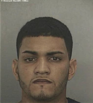 Alonso Delcarpio, - Broward County, FL 