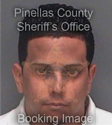 German Garambullo, - Pinellas County, FL 