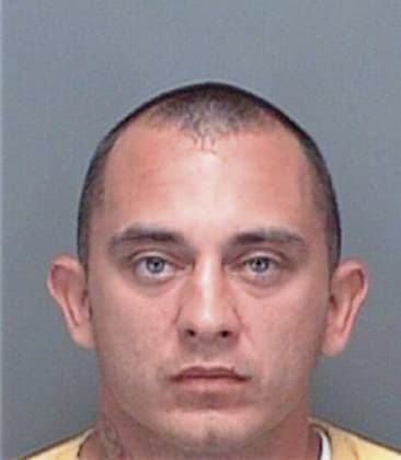 Shane Melchiorre, - Pinellas County, FL 