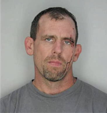 Gabriel Mereness - Hillsborough County, FL 