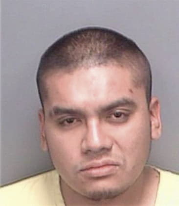 Angel Alvagonzalez, - Pinellas County, FL 