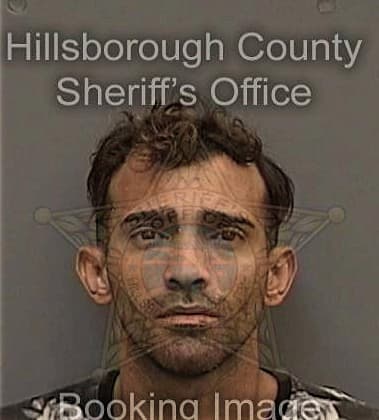 Nicholas Buetti-Place, - Hillsborough County, FL 