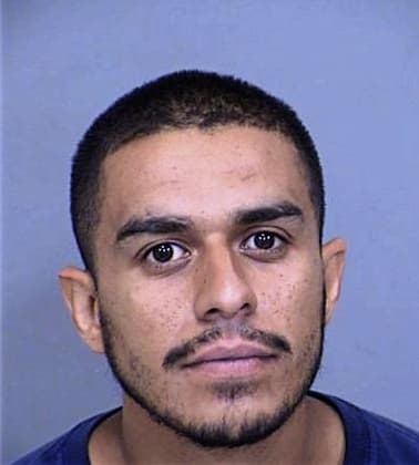 Mark Chisholm - Maricopa County, AZ 