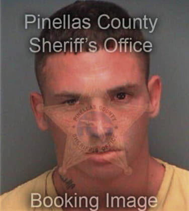 Andrew Gentile, - Pinellas County, FL 