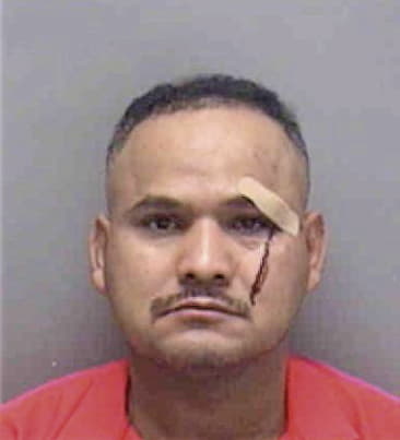 Luis Guerrero, - Lee County, FL 