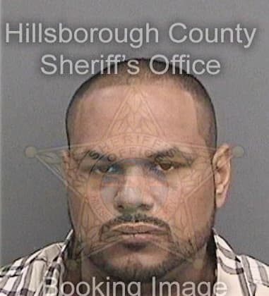 Ian Hursh, - Hillsborough County, FL 