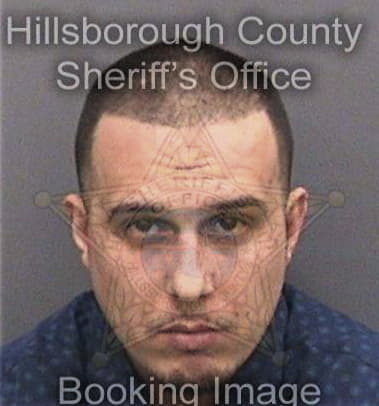 Robert Livengood, - Hillsborough County, FL 