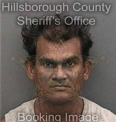 Solomon Shaji, - Hillsborough County, FL 