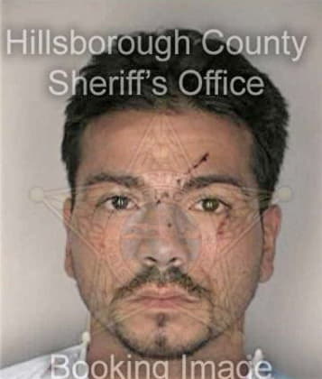 Homero Tomasestrada, - Hillsborough County, FL 