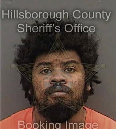 Damon Williams - Hillsborough County, FL 