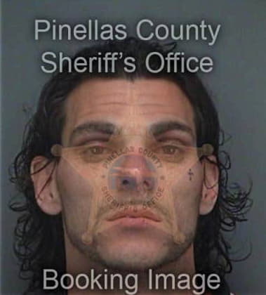 Dante Acquarolo, - Pinellas County, FL 