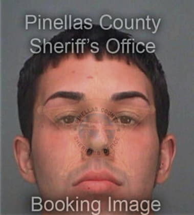 Christopher Allen, - Pinellas County, FL 