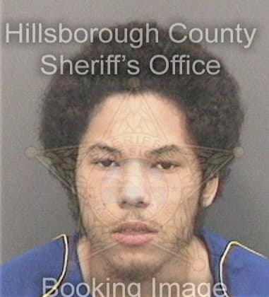 Devon Brown, - Hillsborough County, FL 