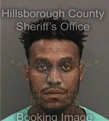 Andrew Henry - Hillsborough County, FL 