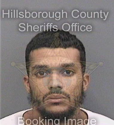 Derick Pachecomendez, - Hillsborough County, FL 