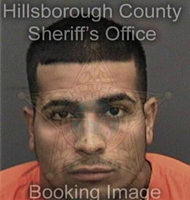 Christian Pena, - Hillsborough County, FL 