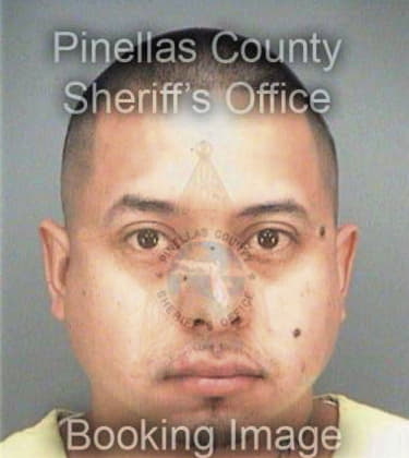 Fernando Sequera, - Pinellas County, FL 