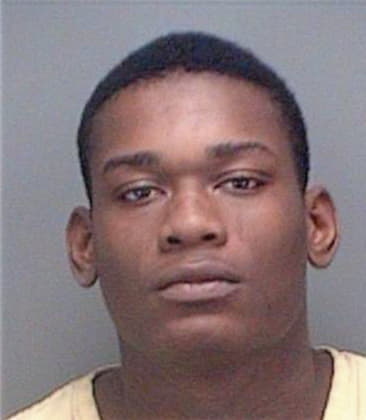 Joshua Simmons - Pinellas County, FL 