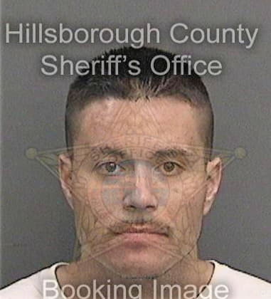 Carlos Diazokrassa, - Hillsborough County, FL 