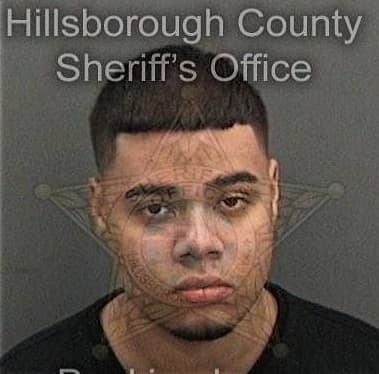 Devin Fisher, - Hillsborough County, FL 