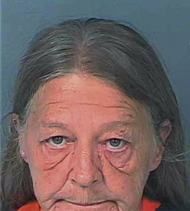 Denise Huber, - Hernando County, FL 