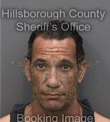 Jesus Perezmiranda, - Hillsborough County, FL 