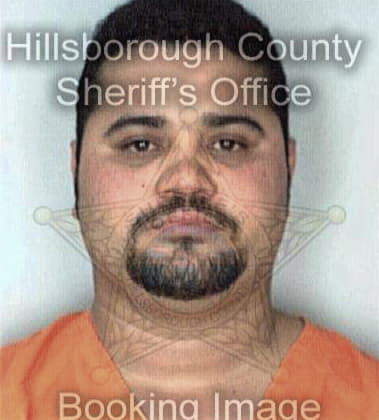 Leopoldo Ramirezrojas, - Hillsborough County, FL 