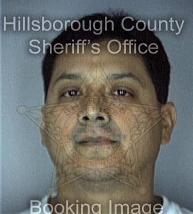 Robert Ranelle, - Hillsborough County, FL 