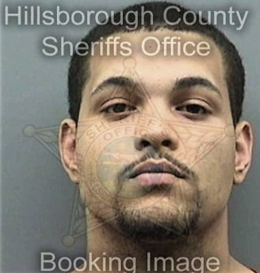 Anthony Reed, - Hillsborough County, FL 